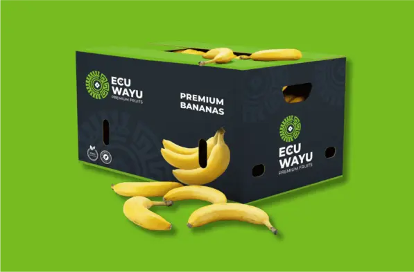 banano ecuwayu exportadora de banano ecuwayu